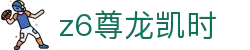 Z6尊龙·凯时(中国) - 官方网站